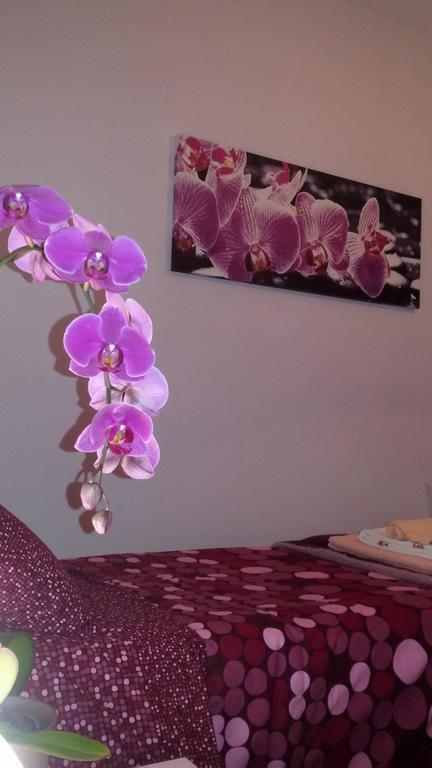 B&B Interno 8 Rom Værelse billede